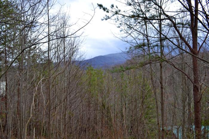 Lost In Love Gatlinburg Exterior foto