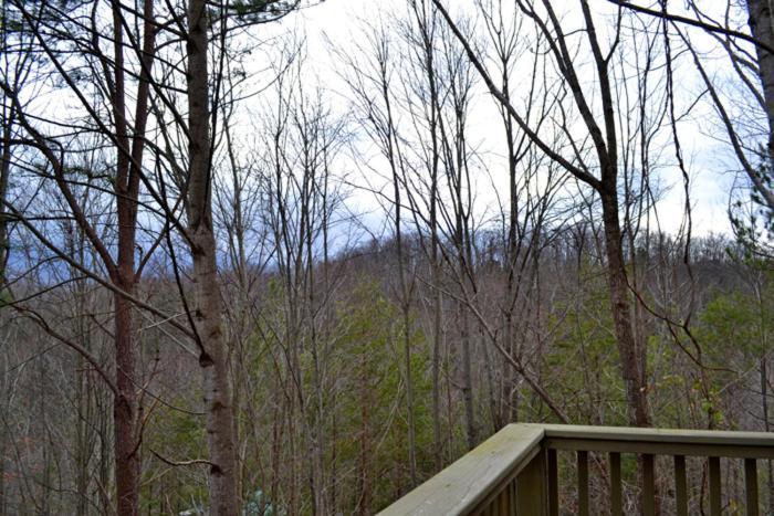 Lost In Love Gatlinburg Exterior foto